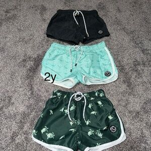 Binky Bro Boys' Swim Shorts Set - Grey, Mint, Dark Green